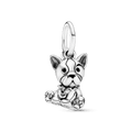 Charm Bulldog Baby