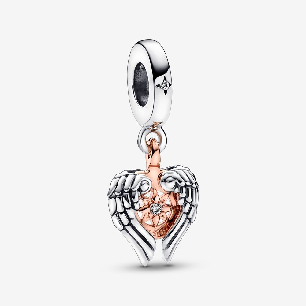 Charm Asas de Anjo e Bussola Celestial