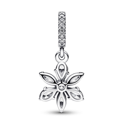 Charm Conjunto de Herbario