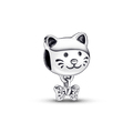 Charm Gato de Estimação e Lacinho