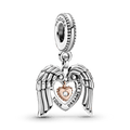 Charm Pendente Asas De Anjo - Charm Club Edição 2021