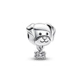 Charm Pet Cachorro e Osso