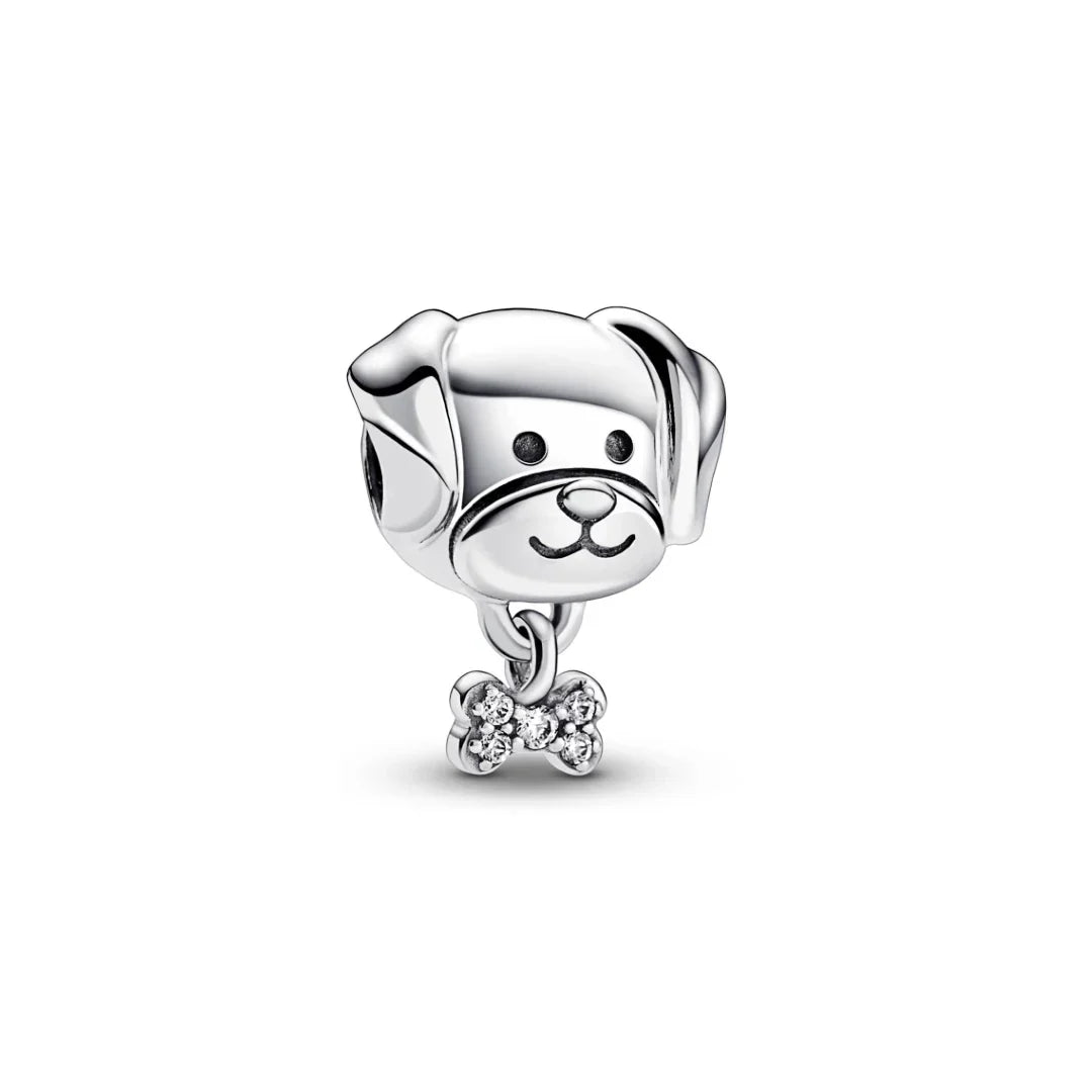 Charm Pet Cachorro e Osso