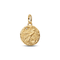 Charm Medalhão Andorinha Dourado