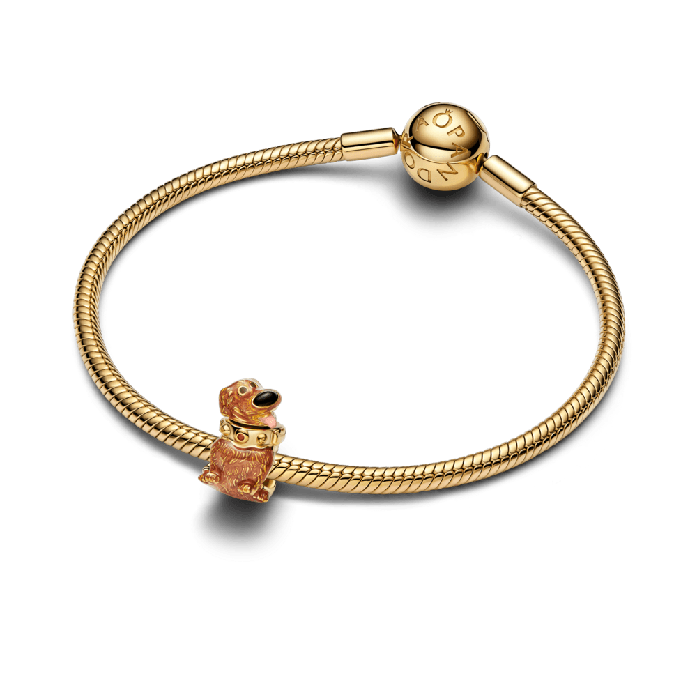 Charm Disney Dug Dourado