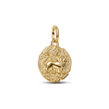 Charm Medalhão Leão Dourado