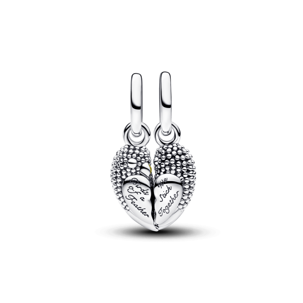 Charm Prata Pendente Duplo Pássaros Magnetico