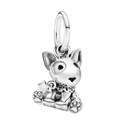 Charm Bull Terrier